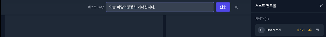 Translated chat input
